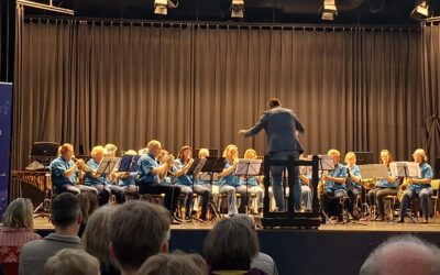 B-orkest naar vlo-festival